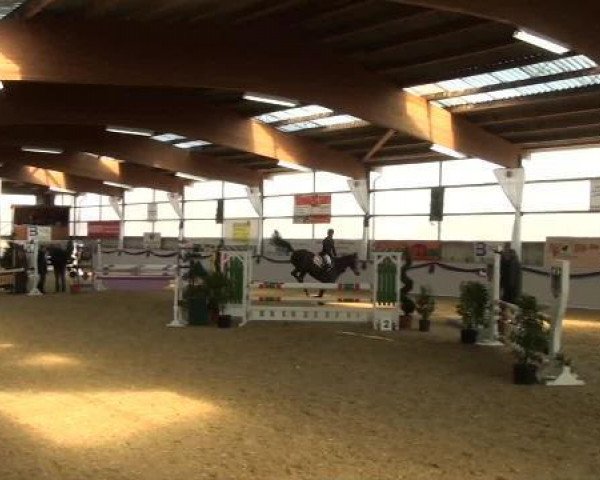 jumper Lusiana (Oldenburg, 2008, from Lortino)