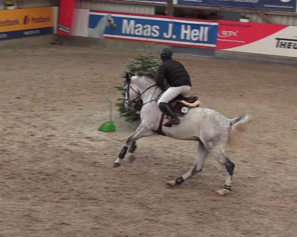 Reitturnier Negernbötel 2021, 8. Nordic Jumping event 2020/2021