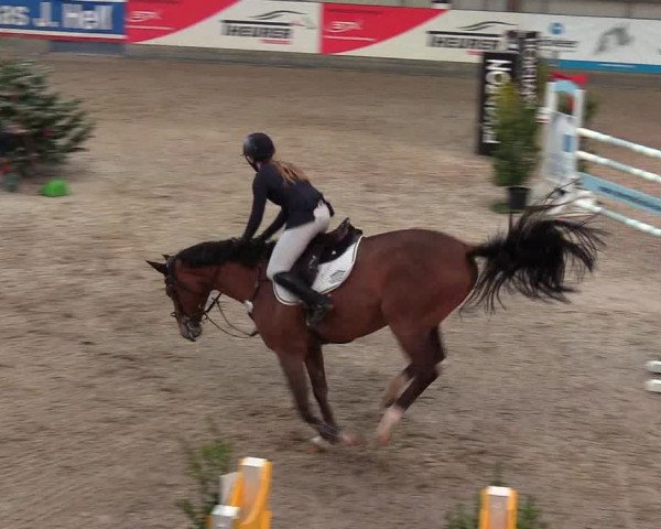 Reitturnier Negernbötel 2021, 8. Nordic Jumping event 2020/2021