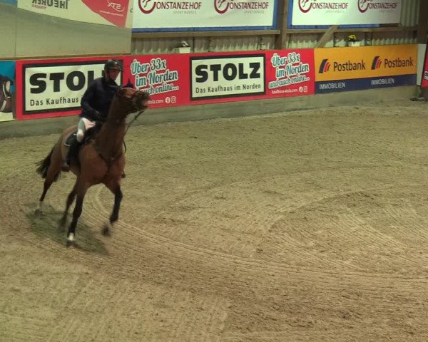 Reitturnier Negernbötel 2021, 8. Nordic Jumping event 2020/2021