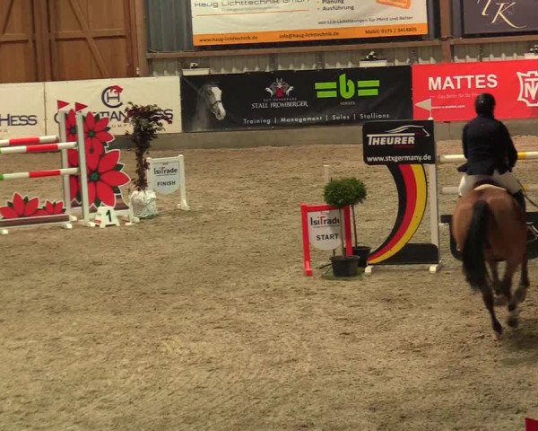 Reitturnier Negernbötel 2021, 8. Nordic Jumping event 2020/2021