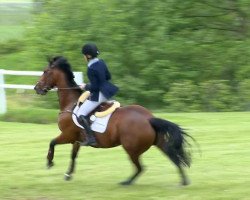 jumper Winnjess Opal Moon (Irish Sport Horse, 2006)