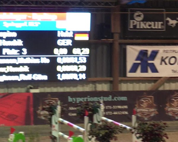 Reitturnier Negernbötel 2021, 8. Nordic Jumping event 2020/2021