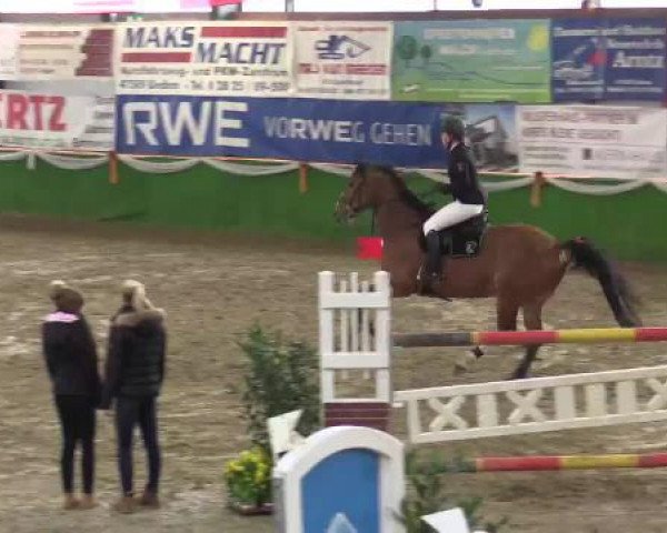 broodmare Charming Cleo 2 (Rhinelander, 2007, from Cristallo I)