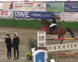 broodmare Charming Cleo 2 (Rhinelander, 2007, from Cristallo I)