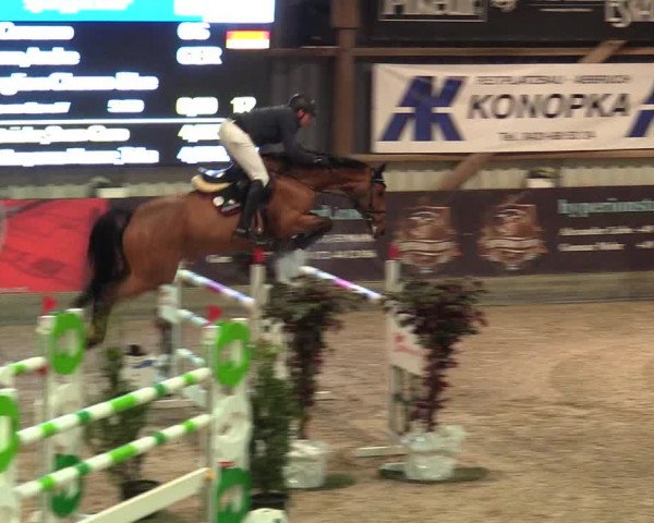 Reitturnier Negernbötel 2021, 8. Nordic Jumping event 2020/2021