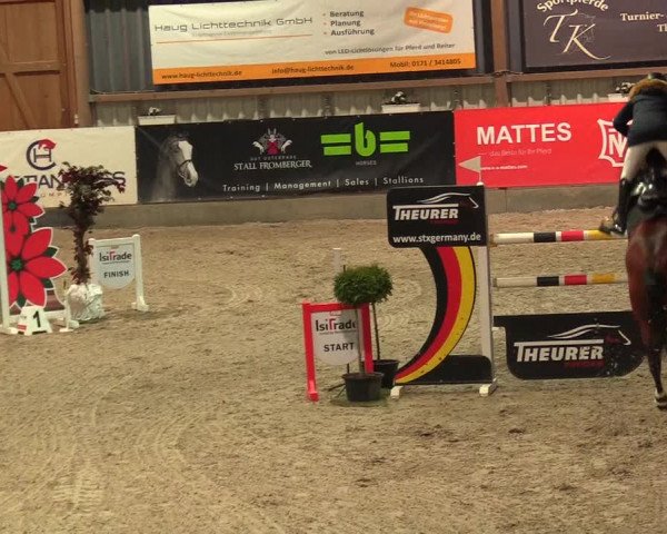 Reitturnier Negernbötel 2021, 8. Nordic Jumping event 2020/2021