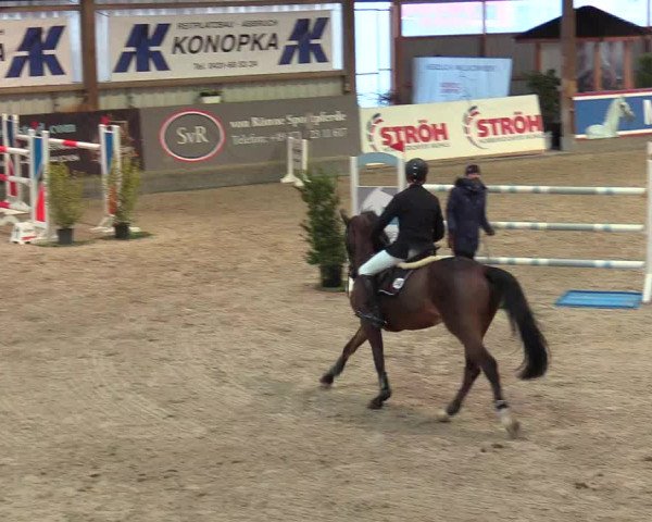 Reitturnier Negernbötel 2021, 8. Nordic Jumping event 2020/2021