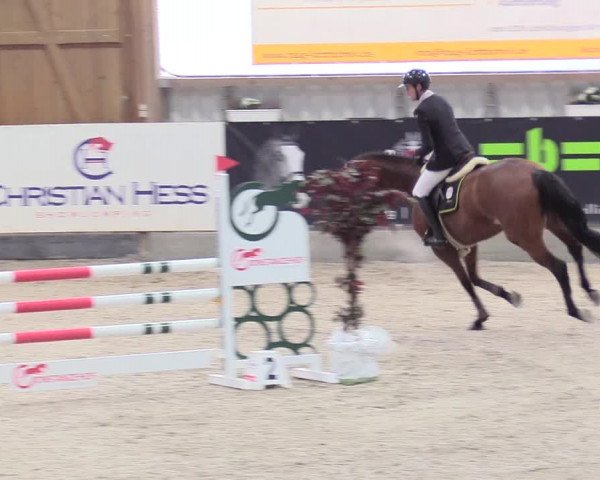 Reitturnier Negernbötel 2021, 8. Nordic Jumping event 2020/2021