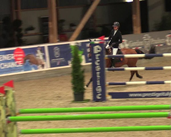 Reitturnier Negernbötel 2021, 8. Nordic Jumping event 2020/2021