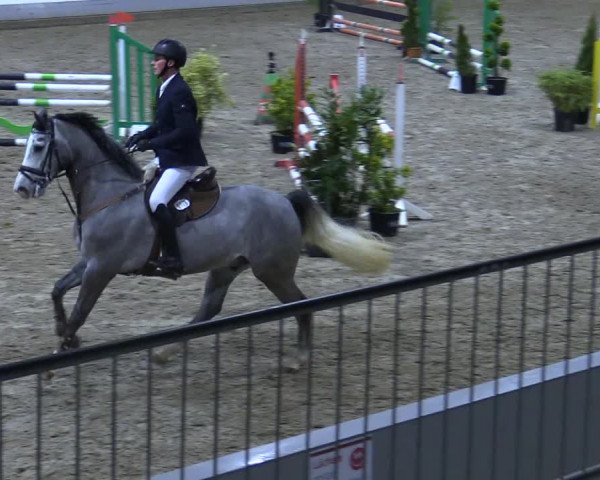Reitturnier Luhmühlen 2021