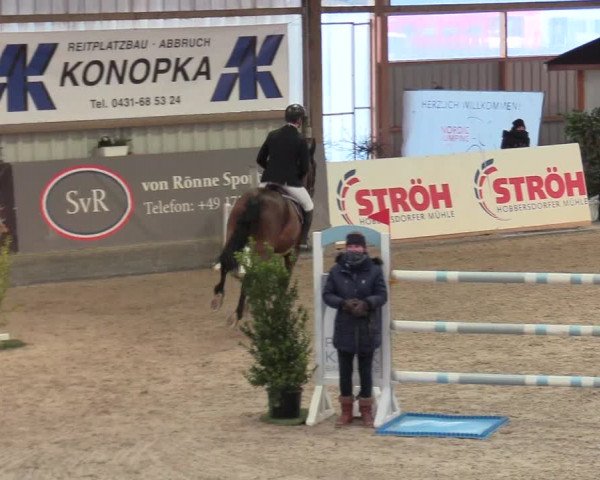 Reitturnier Negernbötel 2021, 8. Nordic Jumping event 2020/2021