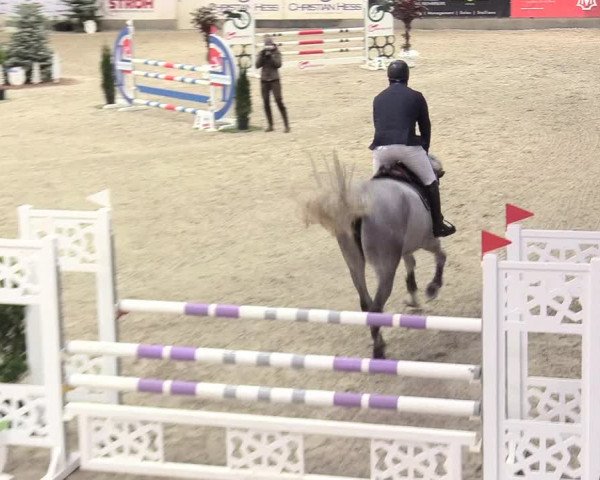 Reitturnier Negernbötel 2021, 8. Nordic Jumping event 2020/2021