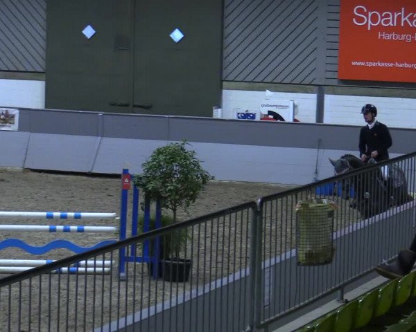 Reitturnier Luhmühlen 2021