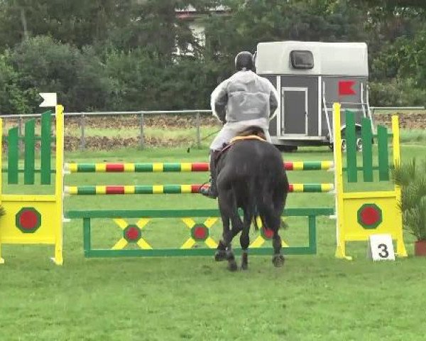 jumper Fantastic Felina (unknown, 2007)