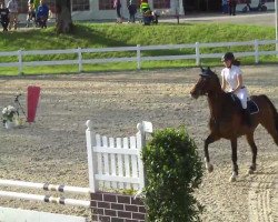 jumper Nea Baloua (Oldenburg, 2008, from Balou del Sol)