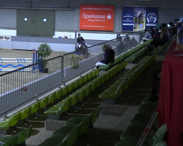Reitturnier Luhmühlen 2021