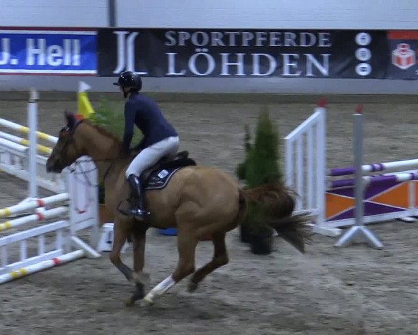 Reitturnier Luhmühlen 2021