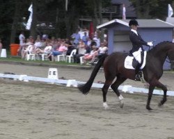 dressage horse Diandro 3 (Oldenburg, 2009, from De Niro)