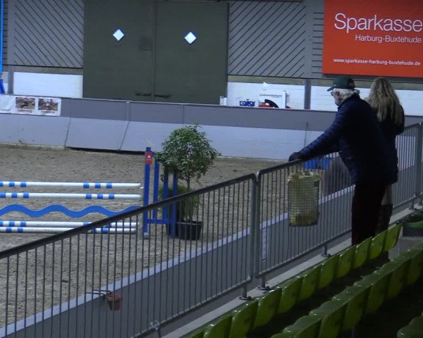 Reitturnier Luhmühlen 2021