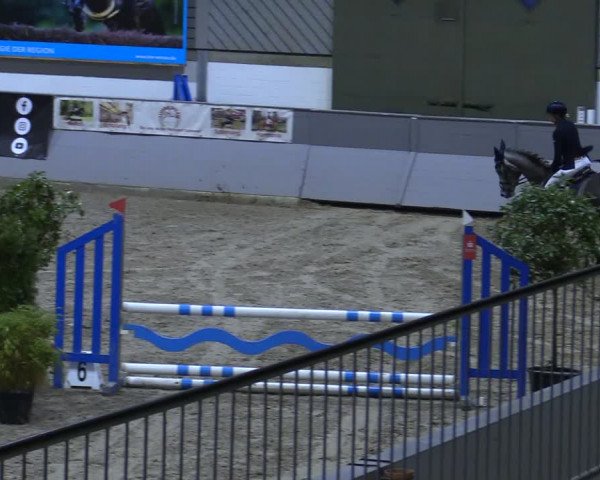 Reitturnier Luhmühlen 2021