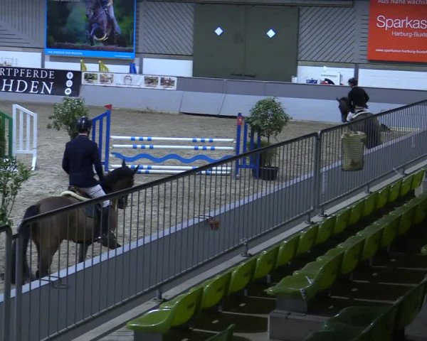 Reitturnier Luhmühlen 2021