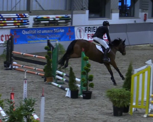 Reitturnier Luhmühlen 2021