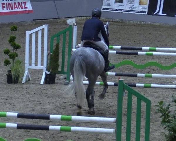 Reitturnier Luhmühlen 2021