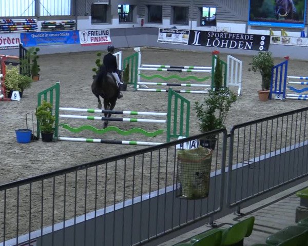 Reitturnier Luhmühlen 2021