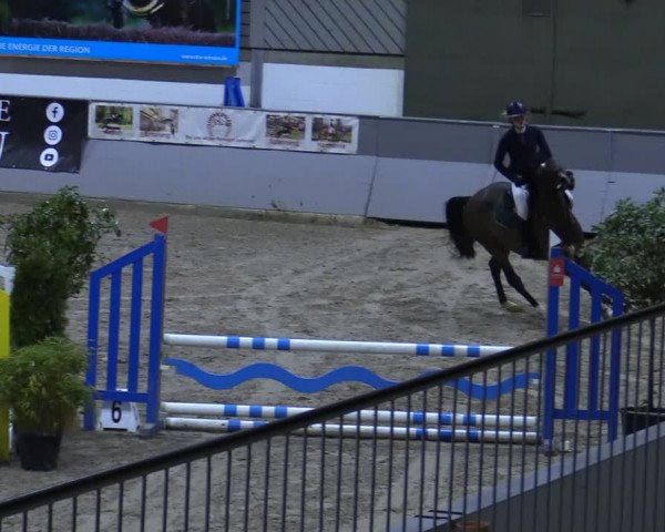 Reitturnier Luhmühlen 2021