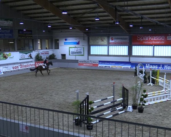 Reitturnier Luhmühlen 2021