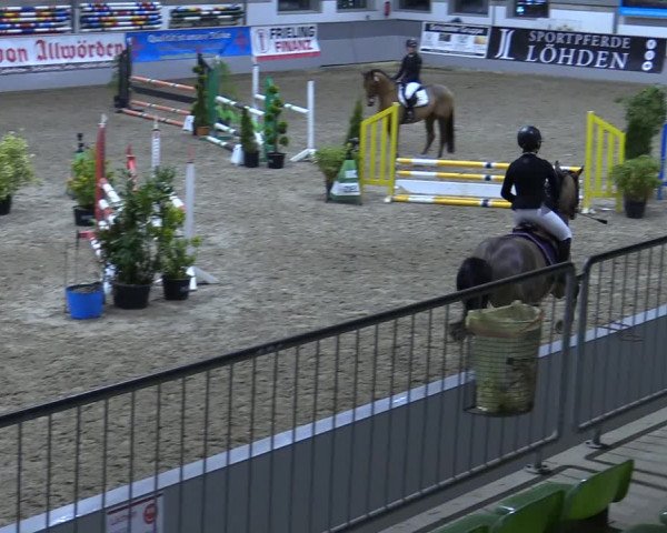 Reitturnier Luhmühlen 2021