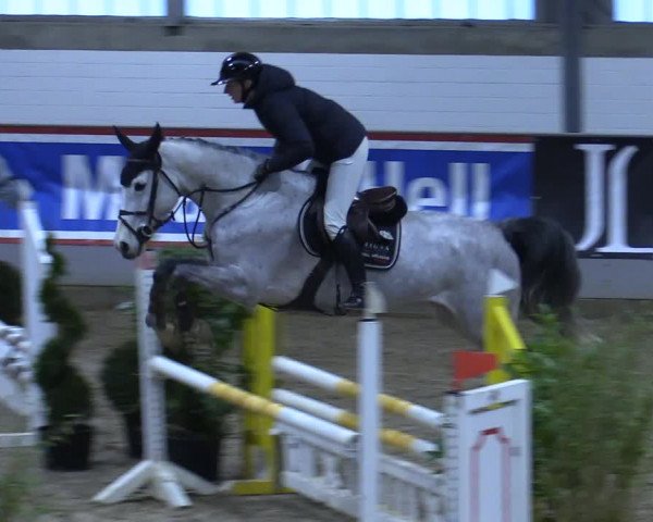Reitturnier Luhmühlen 2021
