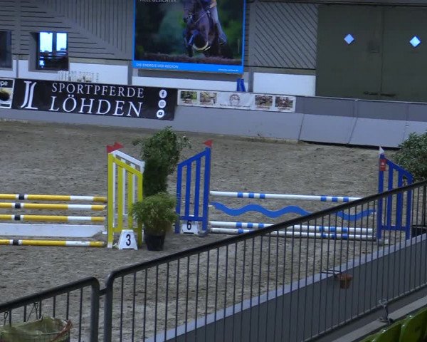 Reitturnier Luhmühlen 2021
