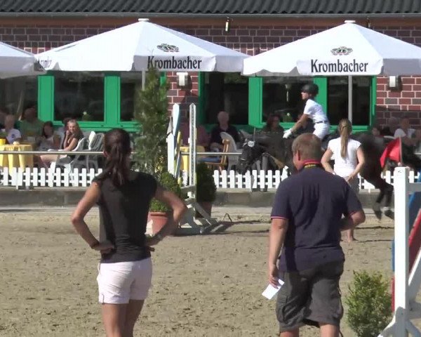 dressage horse Balleano (unknown, 2005)