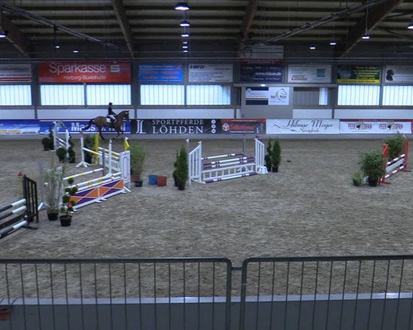 Reitturnier Luhmühlen 2021