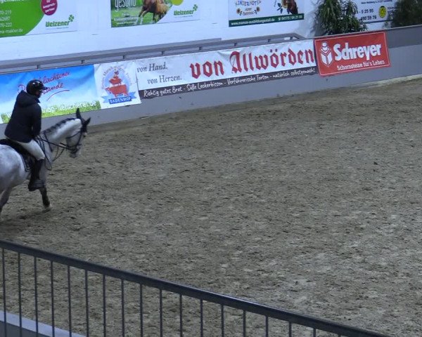 Reitturnier Luhmühlen 2021