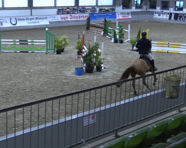 Reitturnier Luhmühlen 2021