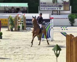 jumper Larnaca 3 (Hanoverian, 2007, from Ludwig von Bayern 168 FIN)