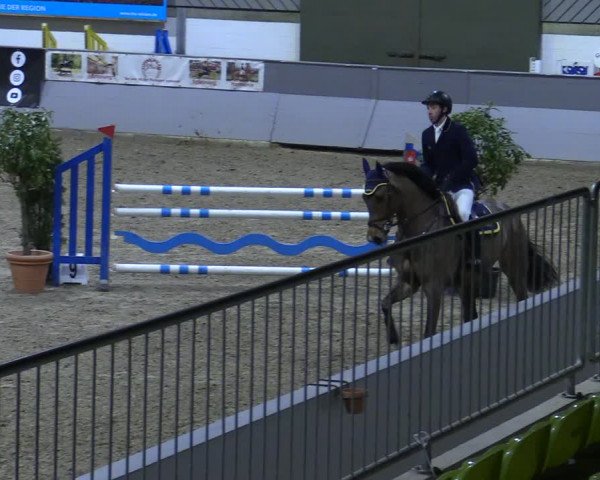 Reitturnier Luhmühlen 2021
