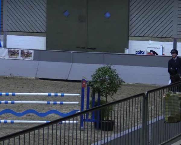 Reitturnier Luhmühlen 2021