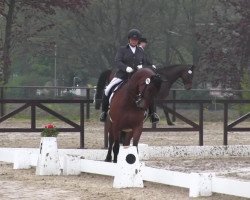 Dressurpferd Lord Primero L (Westfale, 2007, von Lord Sinclair I)