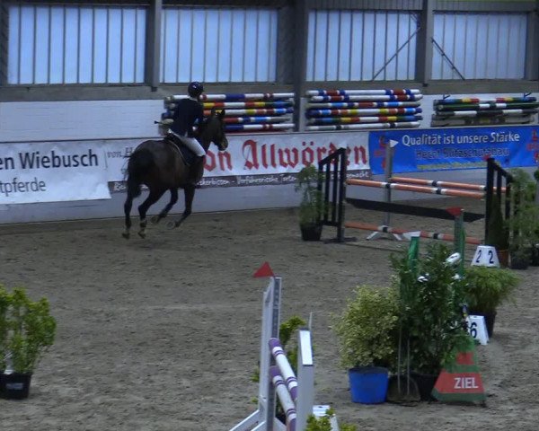 Reitturnier Luhmühlen 2021