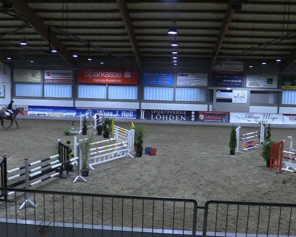 Reitturnier Luhmühlen 2021