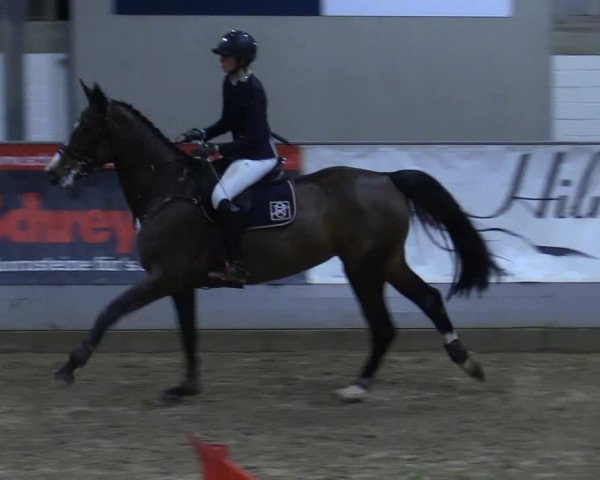 Reitturnier Luhmühlen 2021