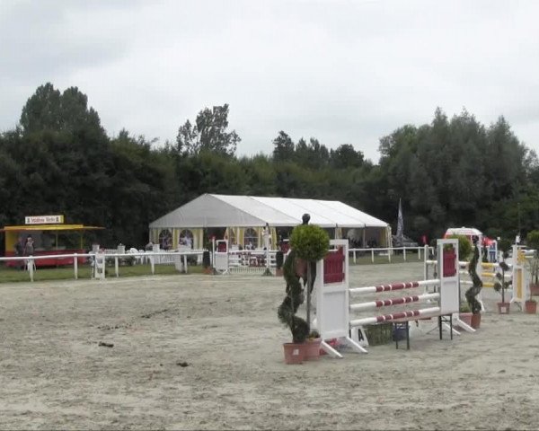 jumper Cadeau du ciel 12 (Holsteiner, 2008, from Carpaccio)