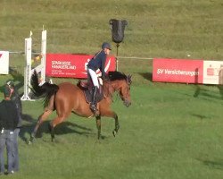 jumper Biagio (KWPN (Royal Dutch Sporthorse), 2006, from Phin Phin)