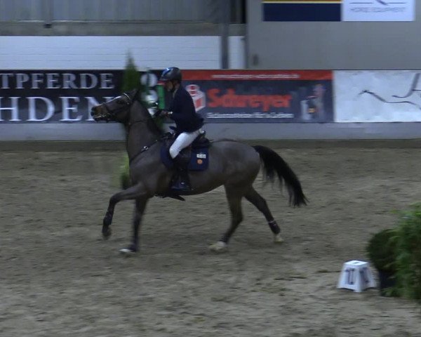 Reitturnier Luhmühlen 2021