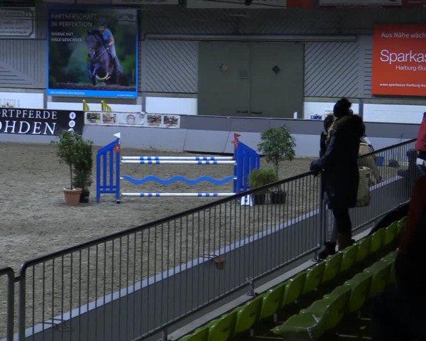 Reitturnier Luhmühlen 2021