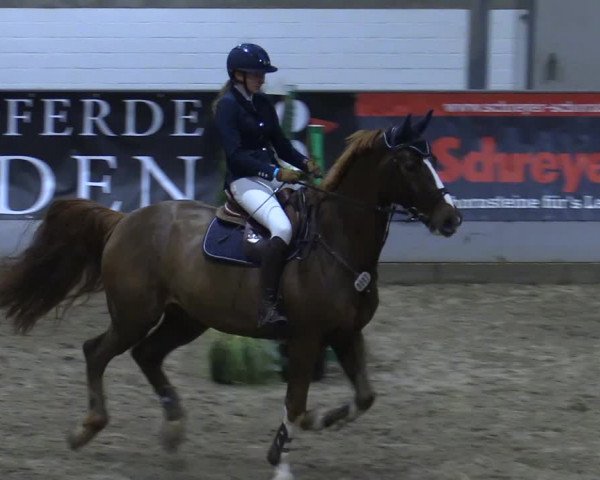 Reitturnier Luhmühlen 2021